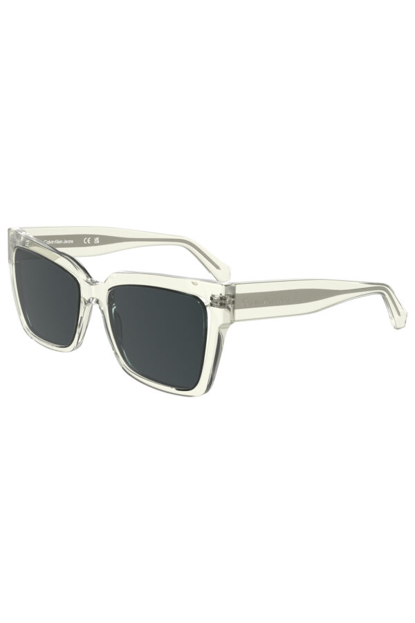calvinkleinocchialedasoleuomotrasparente_2 calvinkleinocchialedasoleuomotrasparente_2