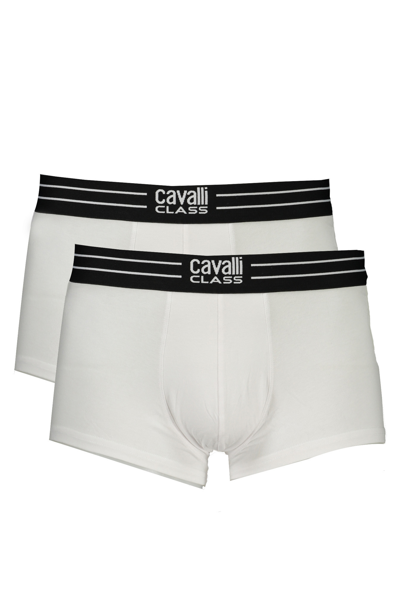 cavalliclassboxeruomobianco_1