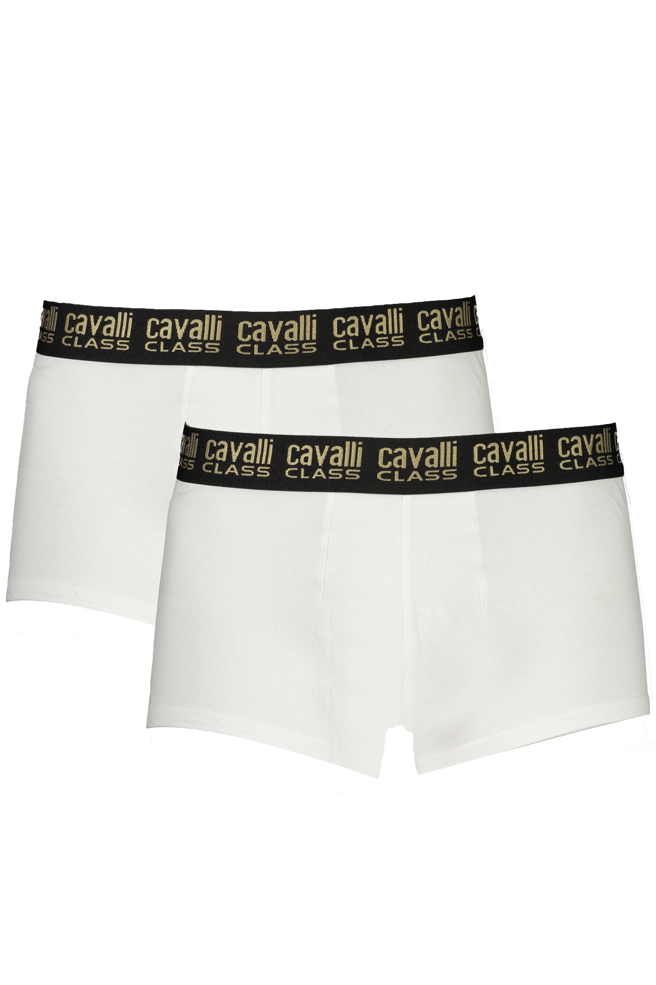 cavalliclassboxeruomobianco_1