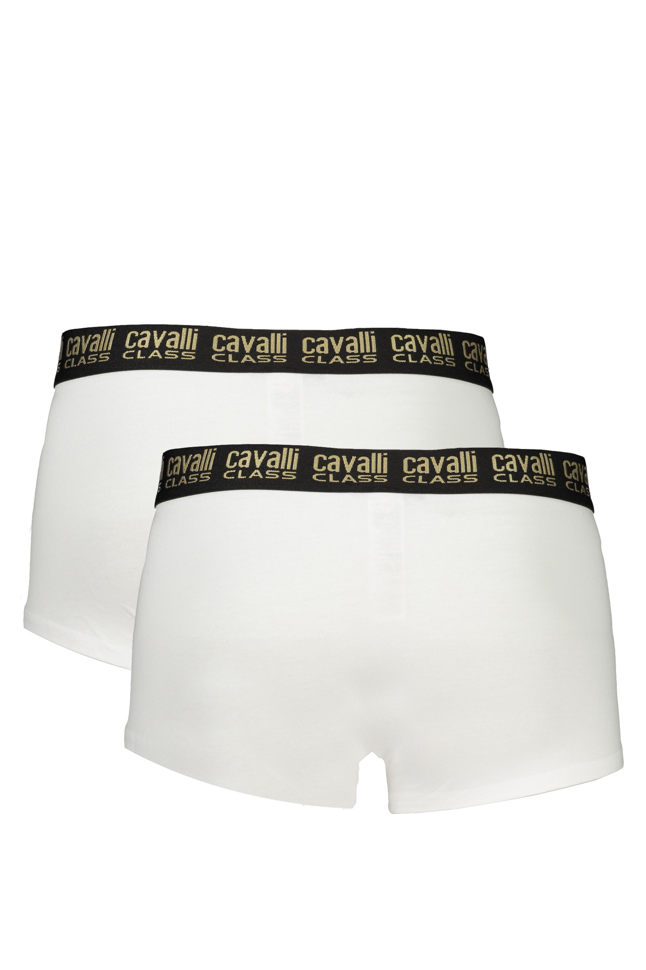 cavalliclassboxeruomobianco_2