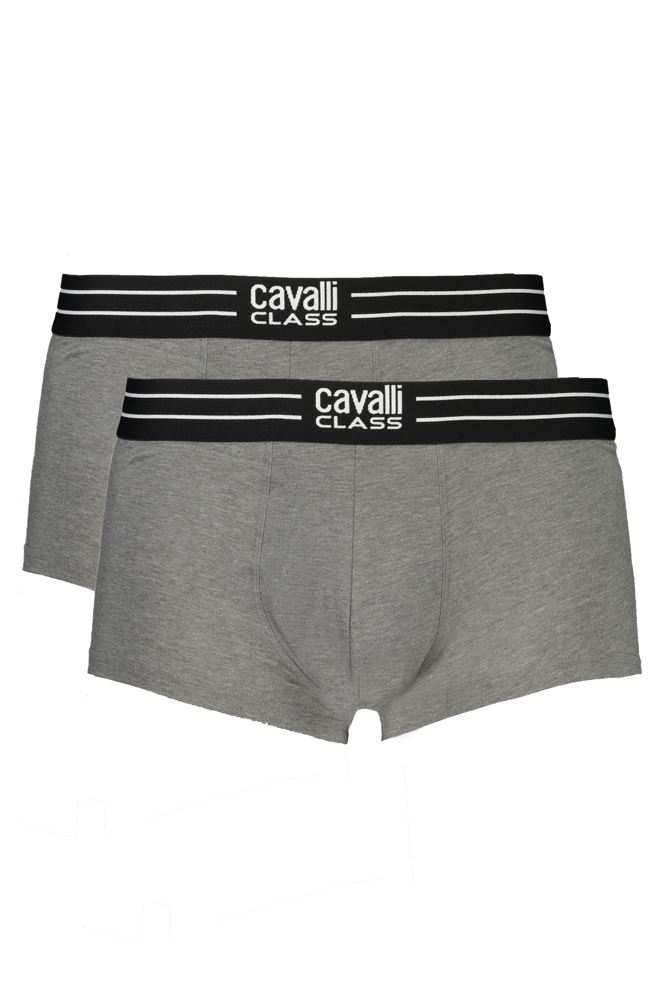 cavalliclassboxeruomogrigio_1