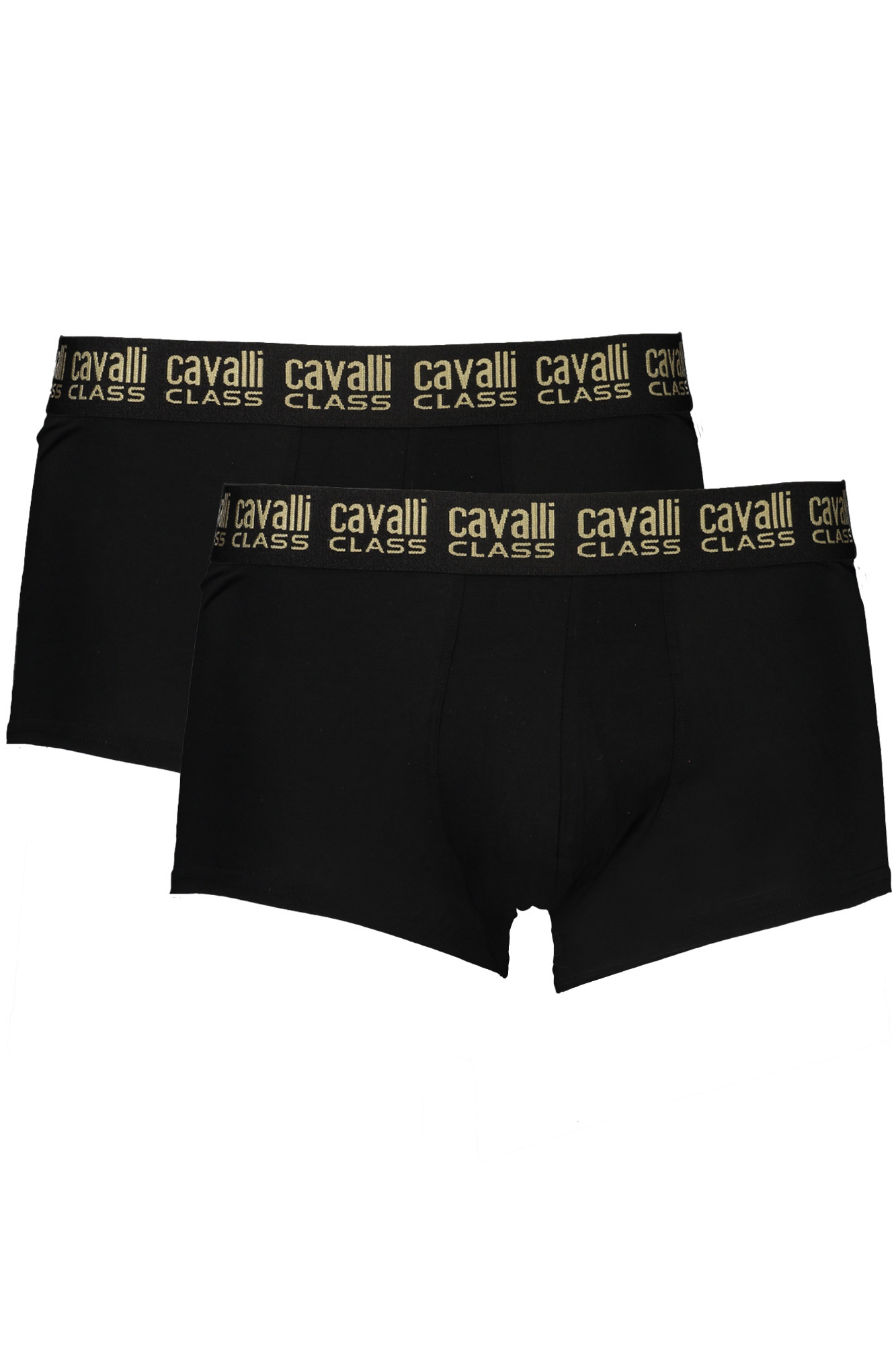 cavalliclassboxeruomonero_1
