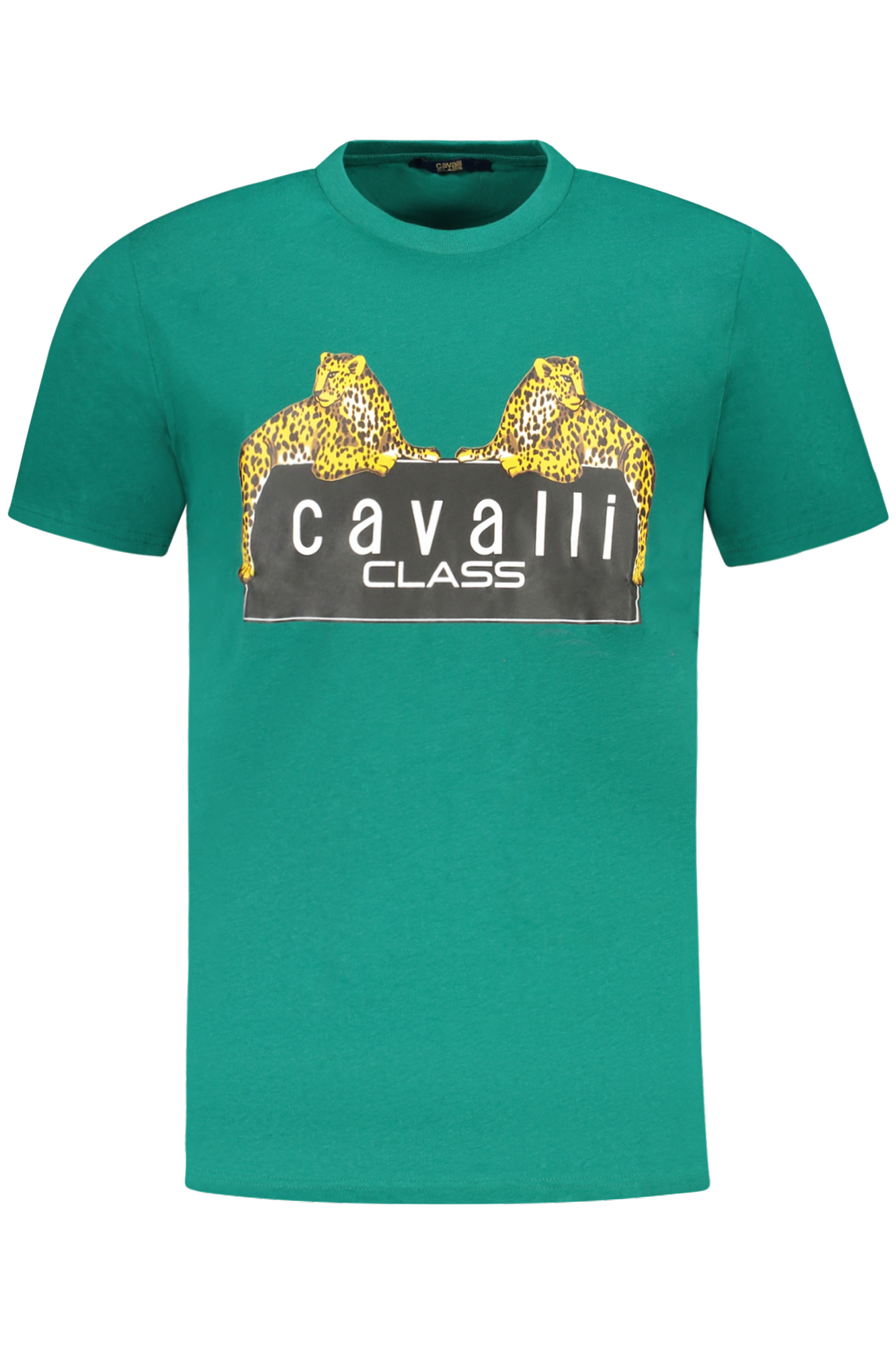 cavalliclasst-shirtmanichecorteuomoverde_1