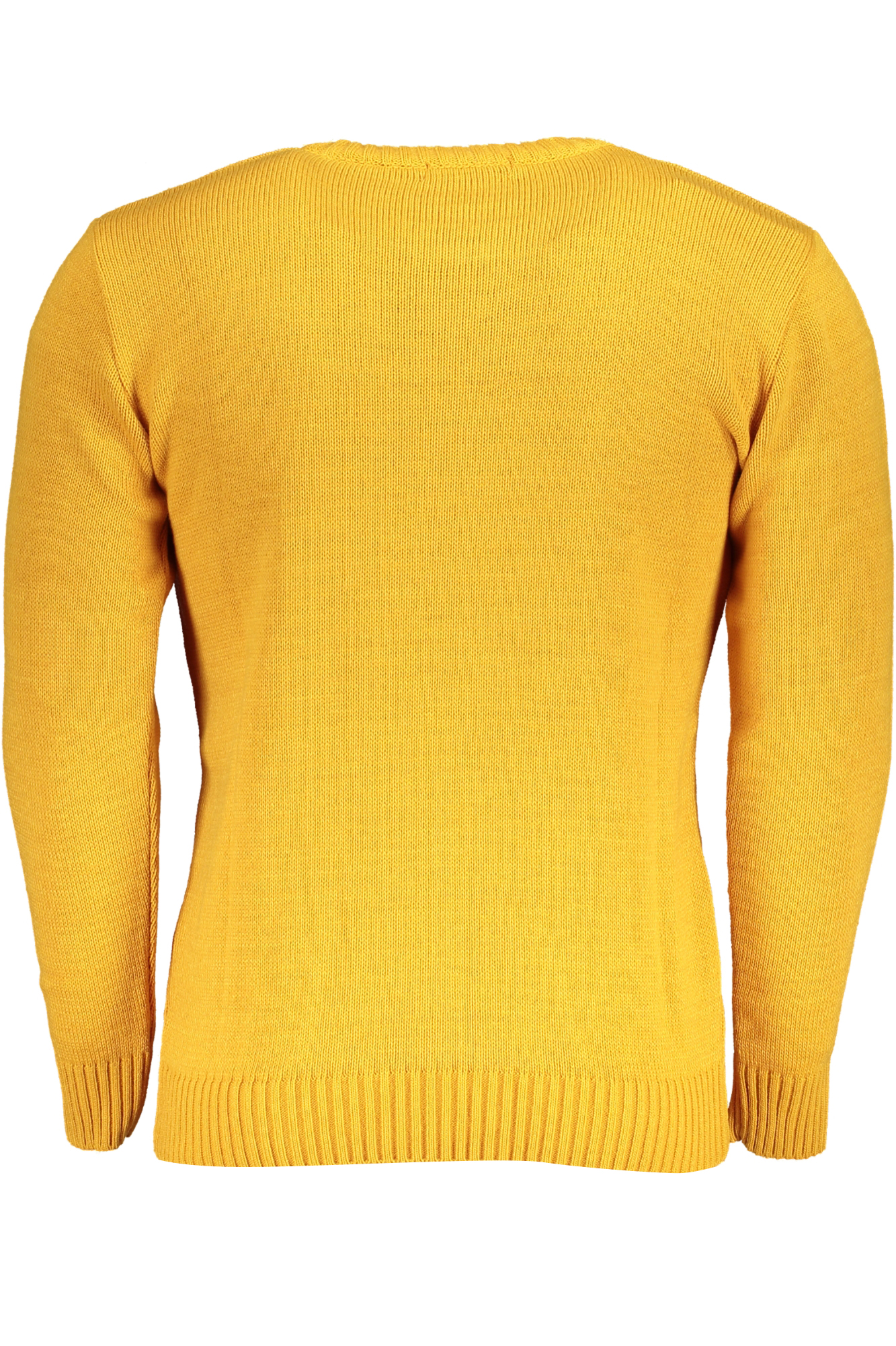 usgrandpolomaglioneuomogiallo_2